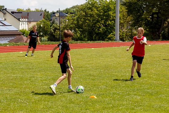 20260613_Wielgut_1570.jpg