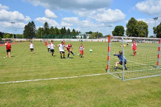 20250614_Wielgut_2489.jpg